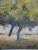 images_diapo/album2/2-arbre.jpg