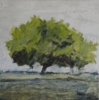 images_diapo/album2/3-arbre.jpg